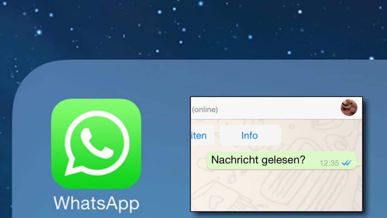 Whatsapp-Haken erklärt: Grauer & blauer Haken – so kannst Du ihn deaktivieren