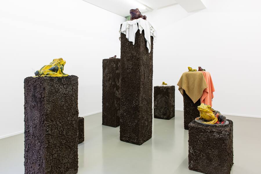 «A Curbing Wall of ­Debris \ Nesting» Pedro Wirz